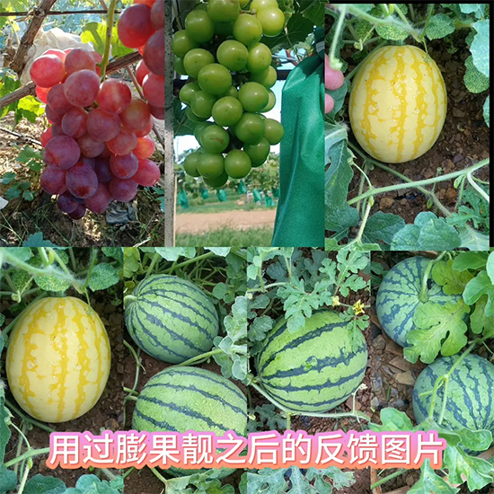 河南沃土生物科技有限公司38.jpg