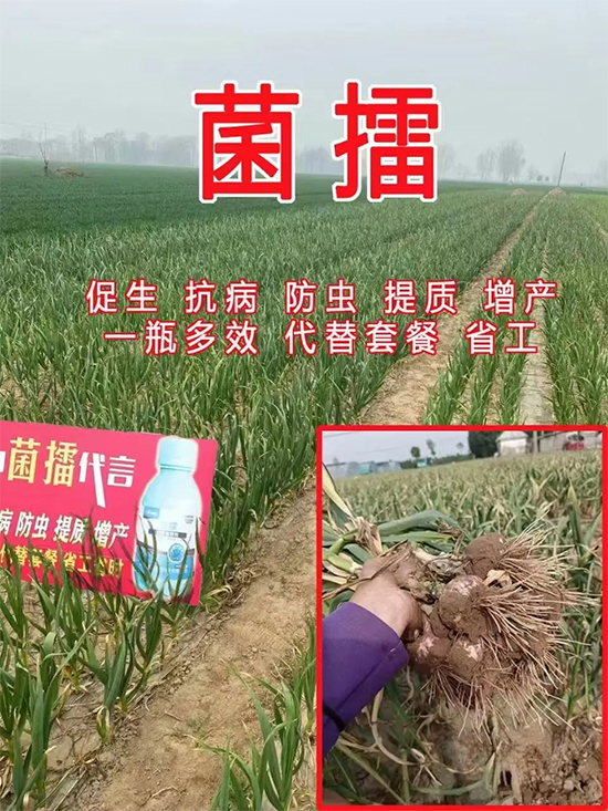 河南沃土生物科技有限公司7.jpg