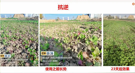 河南沃土生物科技有限公司5.jpg